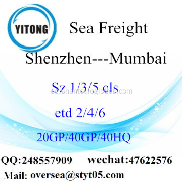 Flete mar del puerto de Shenzhen a Mumbai